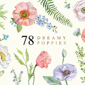Digital Watercolor California Poppies Flowers Clipart DIY Floral Designs Invitations Boho Wedding Stationery print Scrapbook Wallpaper Logo
