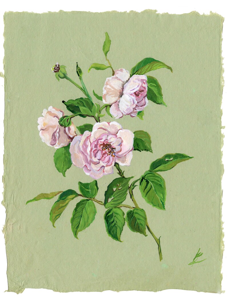 Original Watercolor Roses Painting Romantic Floral Decor Gouache Dainty Pink Green Flower Antique Botanical Nursery Kids Baby Room Artwork image 2