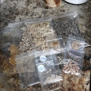 May include: Six clear plastic bags filled with various types of seeds. The bags are labeled with handwritten labels: "Watermelon", "Cucumber", "Zinnia", "Calendula", "Snap Peas", and "Sunflower".