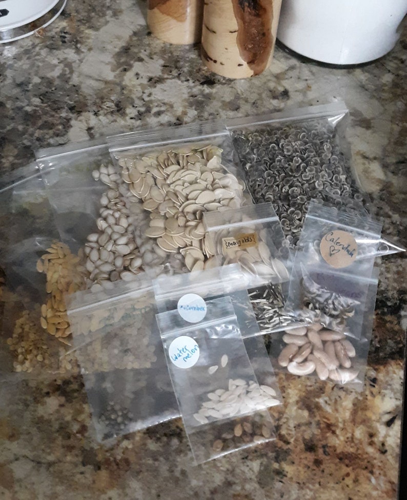 May include: Six clear plastic bags filled with various types of seeds. The bags are labeled with handwritten labels: "Watermelon", "Cucumber", "Zinnia", "Calendula", "Snap Peas", and "Sunflower".