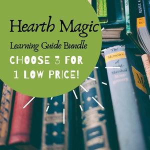 Pick Three- Literature Guide Bundle