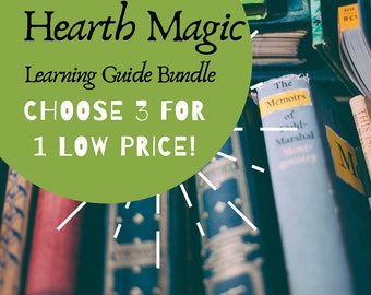 Pick Three- Literature Guide Bundle
