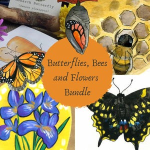 Paquete de abejas, mariposas y flores