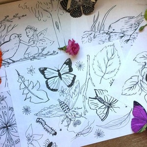 May include: A black and white coloring page with various nature-themed illustrations, including a bird, a butterfly, a leaf, a nest with eggs, and a fairy. The page is surrounded by real flowers and leaves.