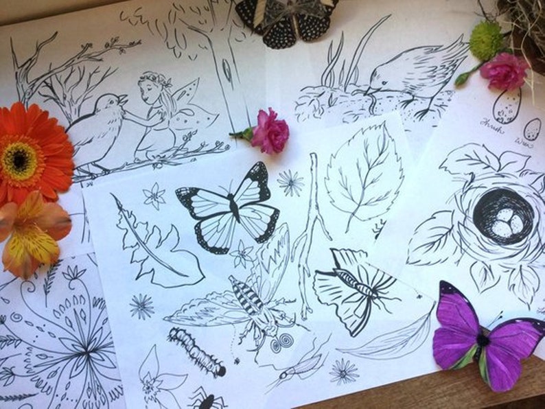 May include: A black and white coloring page with various nature-themed illustrations, including a bird, a butterfly, a leaf, a nest with eggs, and a fairy. The page is surrounded by real flowers and leaves.