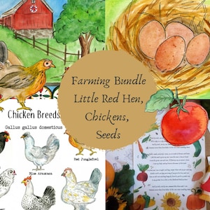 All About Chickens Mini Learning Set