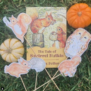 May include: A set of felt cutouts of characters from the children's book "The Tale of Squirrel Nutkin" by Beatrix Potter. The cutouts include a squirrel, a rabbit, an owl, and a badger. The cutouts are on sticks and are arranged on a green grassy surface with a pumpkin and a copy of the book.
