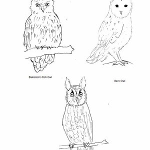 Owl Learning Set - Etsy