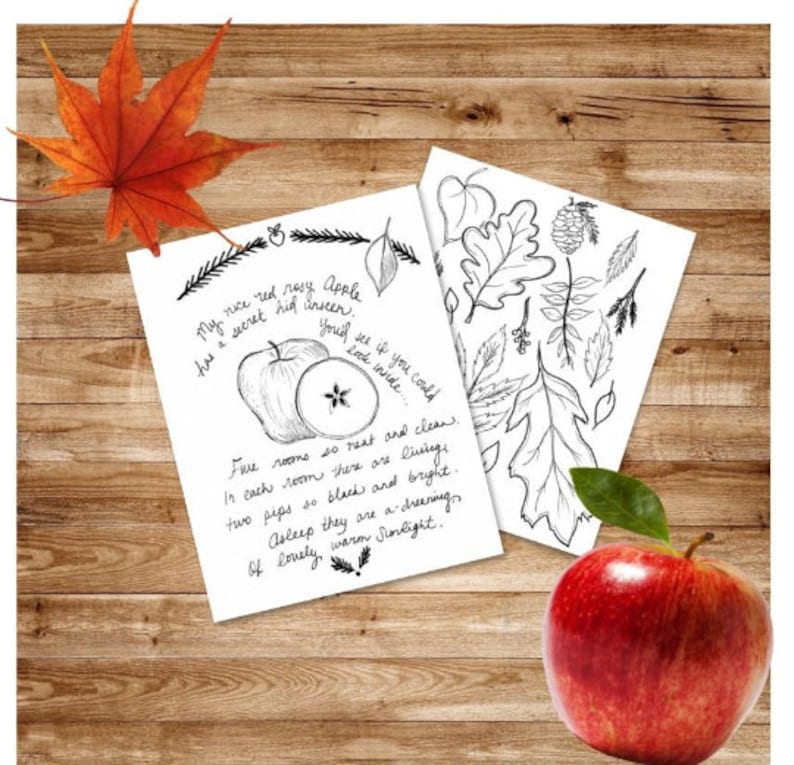 May include: A printable coloring page featuring a black and white illustration of an apple with a poem about its hidden rooms. The poem reads: "My nice red rosy Apple has a secret hid unseen. You'd see if you could look inside... Five rooms so neat and clean. In each room there are livings, two pips so black and bright. Asleep they are a dreaming of lovely warm sunlight."