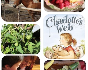 Charlotte's Web Family Learning Guide- Ready to print!