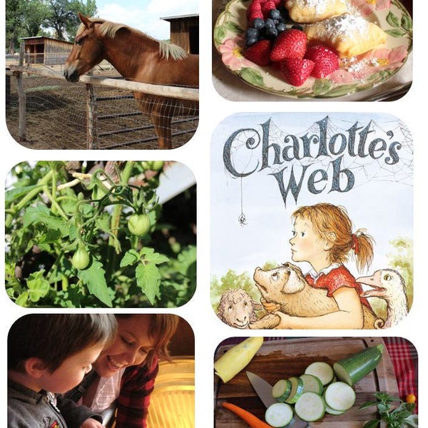 Charlotte's Web Family Learning Guide- Ready to print!