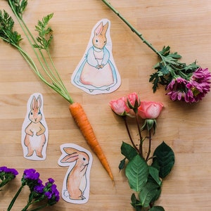 La storia di Peter Rabbit: un set di cerchi primaverili