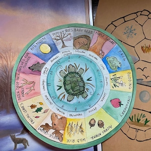 Könnte beinhalten: Eine Aquarell-Illustration eines kreisförmigen Kalenders mit einer Schildkröte in der Mitte. Der Kalender zeigt die Monate des Jahres mit verschiedenen Ereignissen und Aktivitäten, die mit jedem Monat verbunden sind. Der Kalender ist von einem braunen Hintergrund mit einem Schildkrötenpanzermuster umgeben.