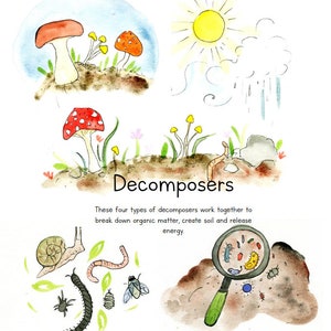 Decomposers Printable Poster