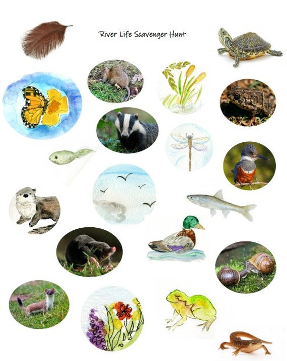 River Life Scavenger Hunt Etsy