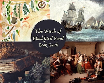 Witch of Blackbird Pond Book Guide