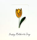 Mother's Day Card - Birthday Card - Wire Tulip - Wire Flower - Mothering Sunday Card - for Mum, Mom, Grandmother - for her - Wife - Friend