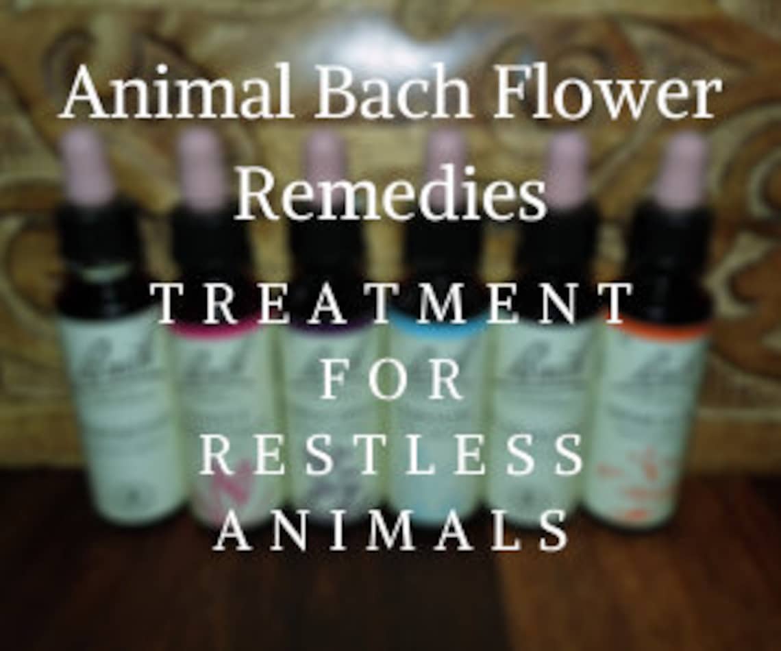 Bach Flower Remedies for Treating Restless Animals Bach | Etsy