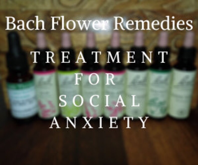 Bach Flower Remedies for Social Anxiety Bach Original Flower - Etsy