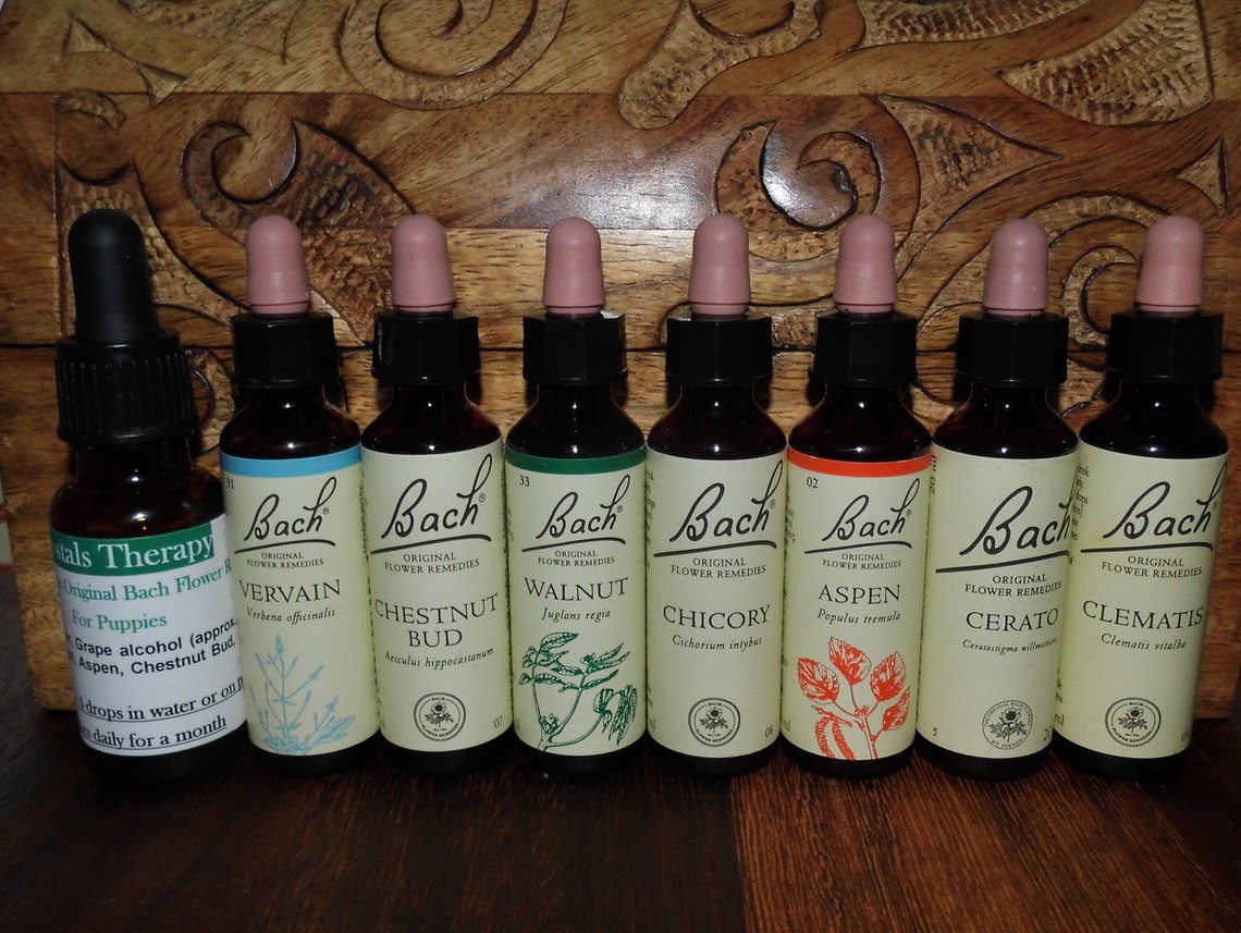 Animal Bach Flower Remedies for Puppies Bach Original Flower | Etsy