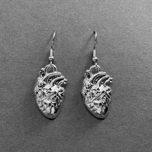 Anatomical heart earrings: Hannibal cosplay prop, 3D replica body part