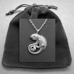 May include: A silver chameleon pendant necklace in a black velvet pouch. The pendant is detailed and realistic.