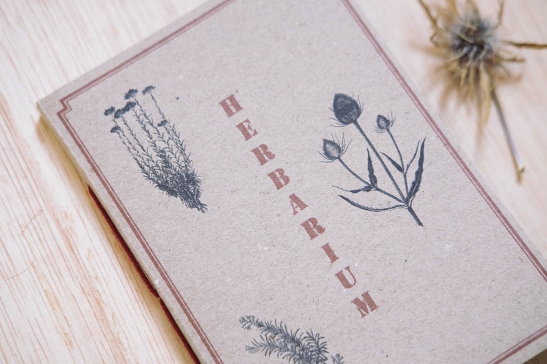 Herbarium mediterranean botanic notebook , eco friendly personalized gift for nature lover and plants lady image 2