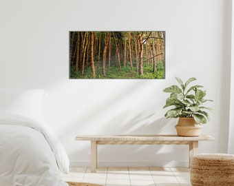 Wandbild von Laubhölzern - Fine Art Print oder 6000px digitaler Download