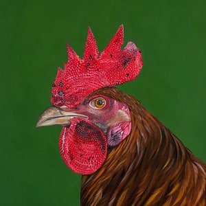 Acrylic painting Chicken portrait - Bird farm country farmhouse style