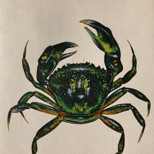 Crab painting - Original acrylic painting of crab / nautical coastal beach theme