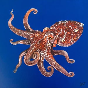 Baby Octopus acrylic painting on canvas - Red octopus squid ocean marine life nautical