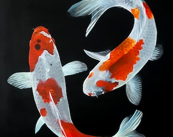 Pintura de pez koi con mariposas - Arte mural acrílico sobre lienzo con diseño de estanque de peces
