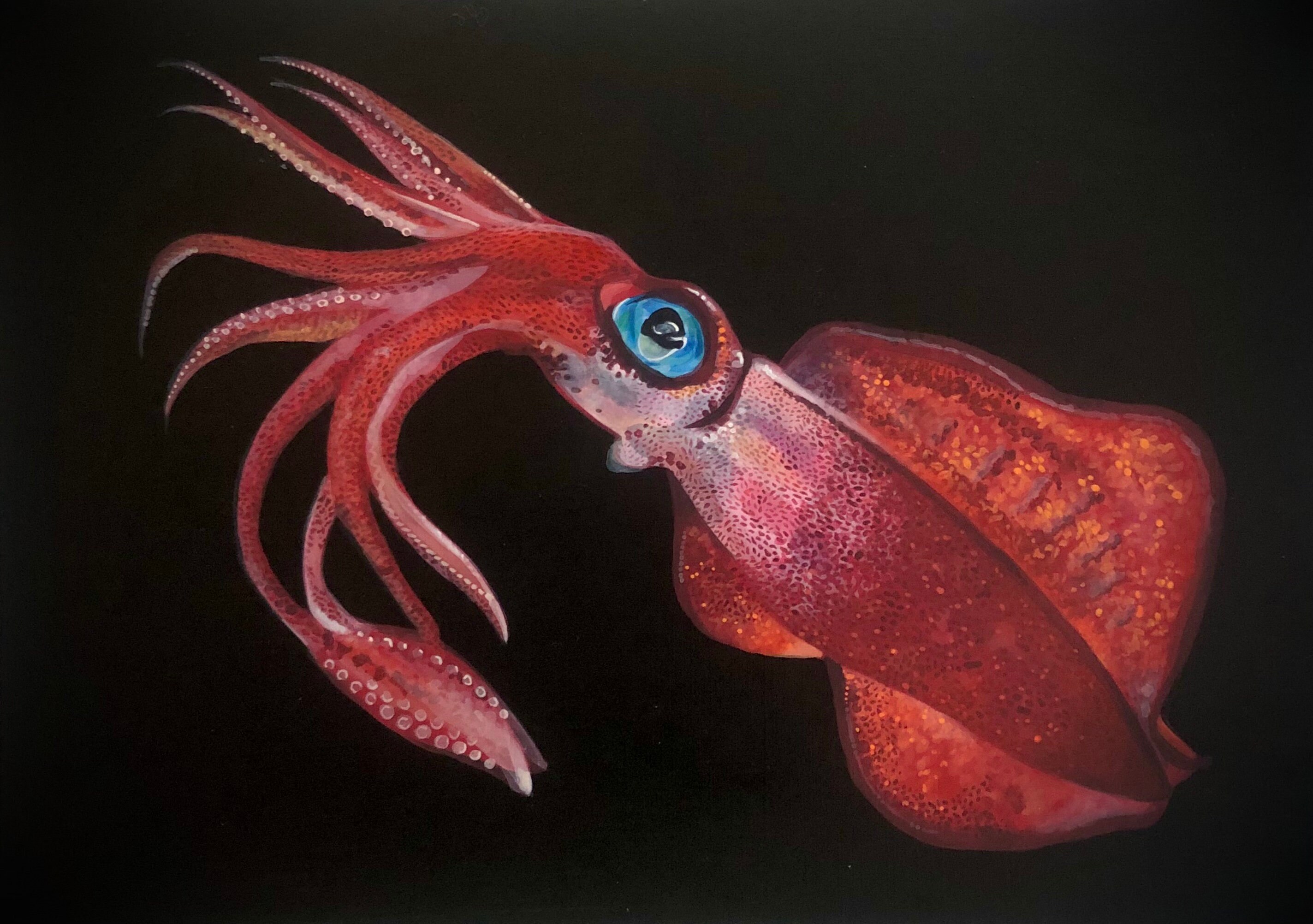 Squid Deep Sea Bioluminescent Squid Painting Etsy 日本