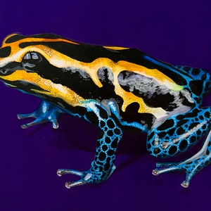 Poison Dart Frog - Pintura original sobre cartulina de 7x10 pulgadas