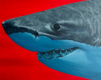 Cuadro de tiburón blanco (70 x 70 cm), acrílico, arte mural oceánico