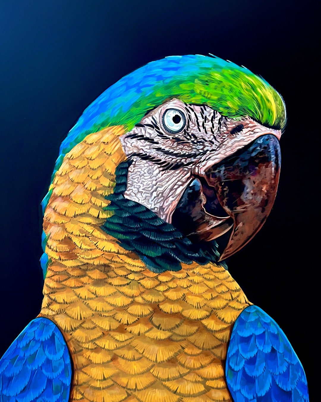 LZIMU Stampe su tela Pappagallo Uccelli tropicali Quadri Quadro di Ara Quadro di animali della foresta per camera da letto Bagno Cucina Arredamento incorniciato (Quadri-1, (30.00 x 30.00 cms