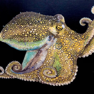 Mototi Octopus painting (optional frame)