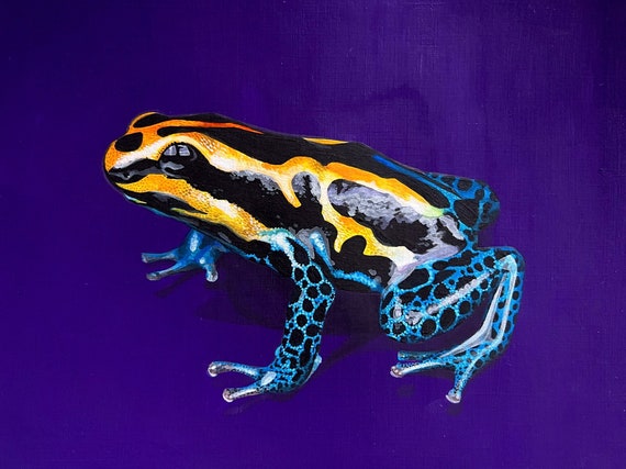 Poison Dart Frog Original Painting on Card Measuring 7x10 Inches -   Canada