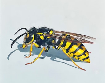 Pintura de avispas - Mini lienzo de arte de insectos