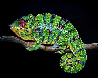 絵画 油絵 原画 動物 生き物 トカゲ グリーン ポップ アート SM 泳ぐ