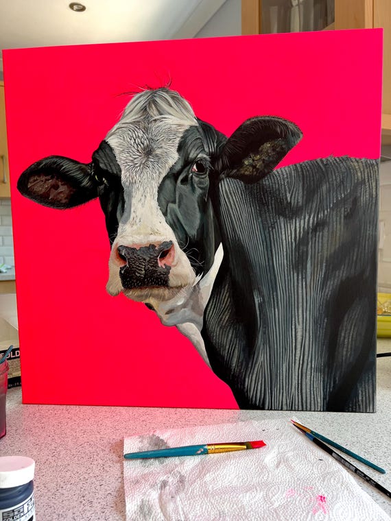 ピンクの正方形のキャンバスに描かれた牛の絵 - 現代農場動物アート