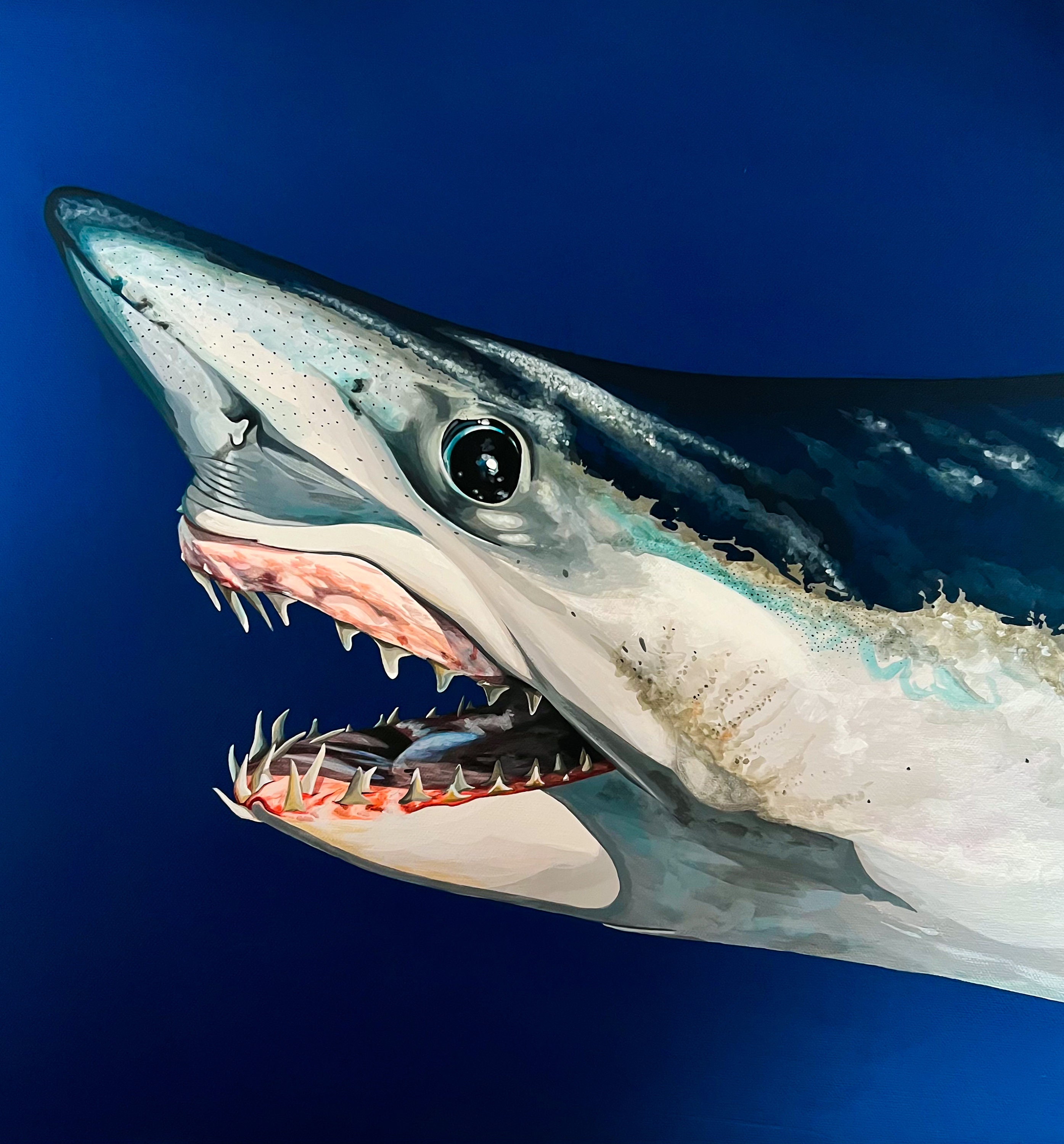 アオザメの絵画：オリジナルアクリルキャンバスアート（50 cm x 50 cm