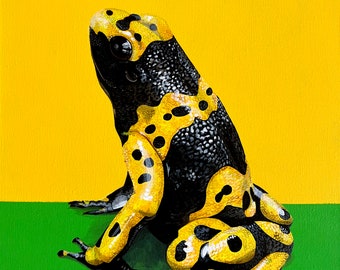 Yellow Banded Poison Dart Frog - Original acrylic painting on canvas