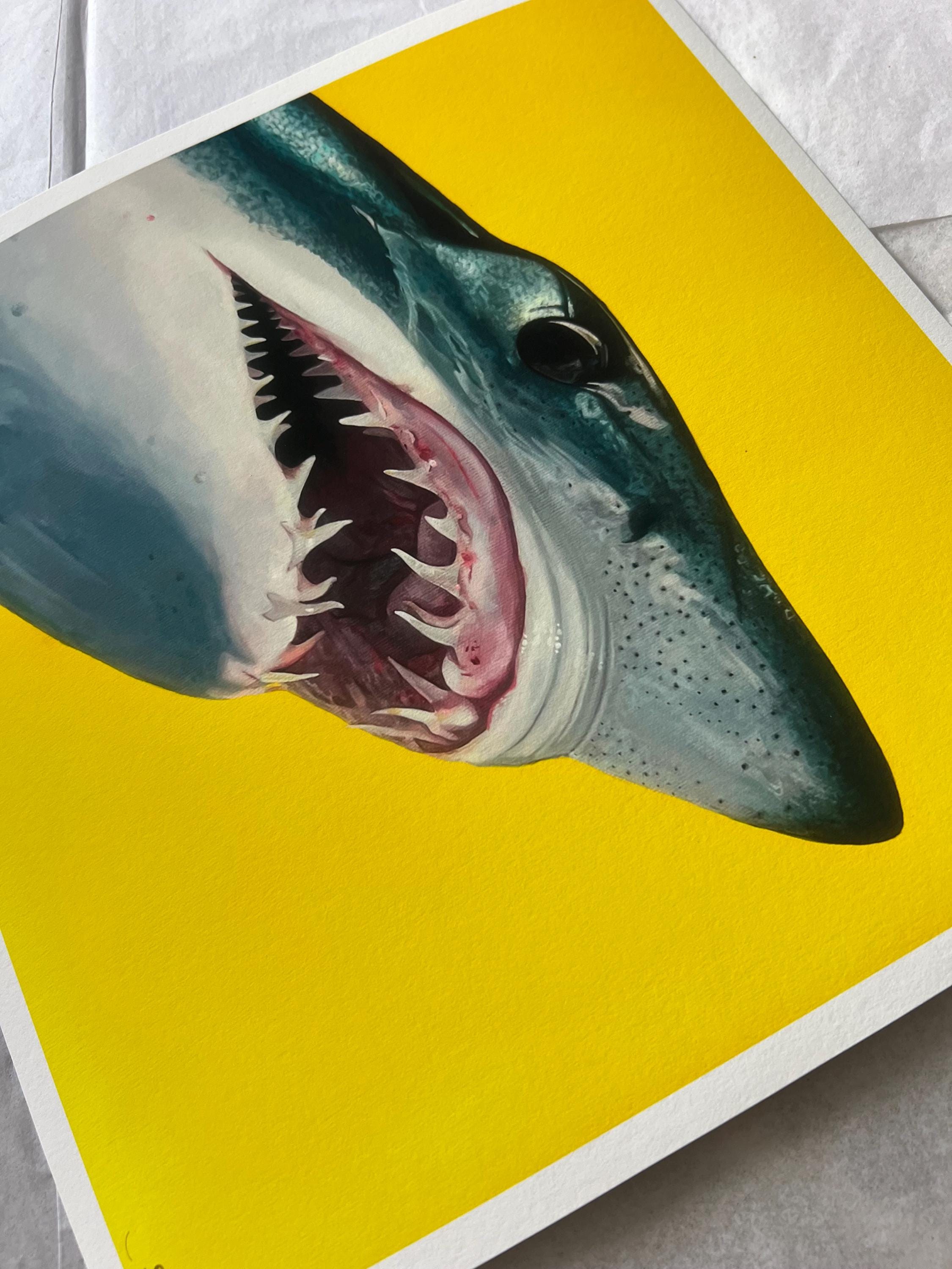 アオザメのジクレー版画：超写実的な海洋野生動物アート - Etsy 日本