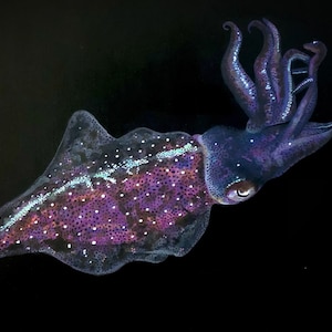 Caribbean Reef Squid (Purple) - A4 size Nautical Ocean Sealife Acrylic painting