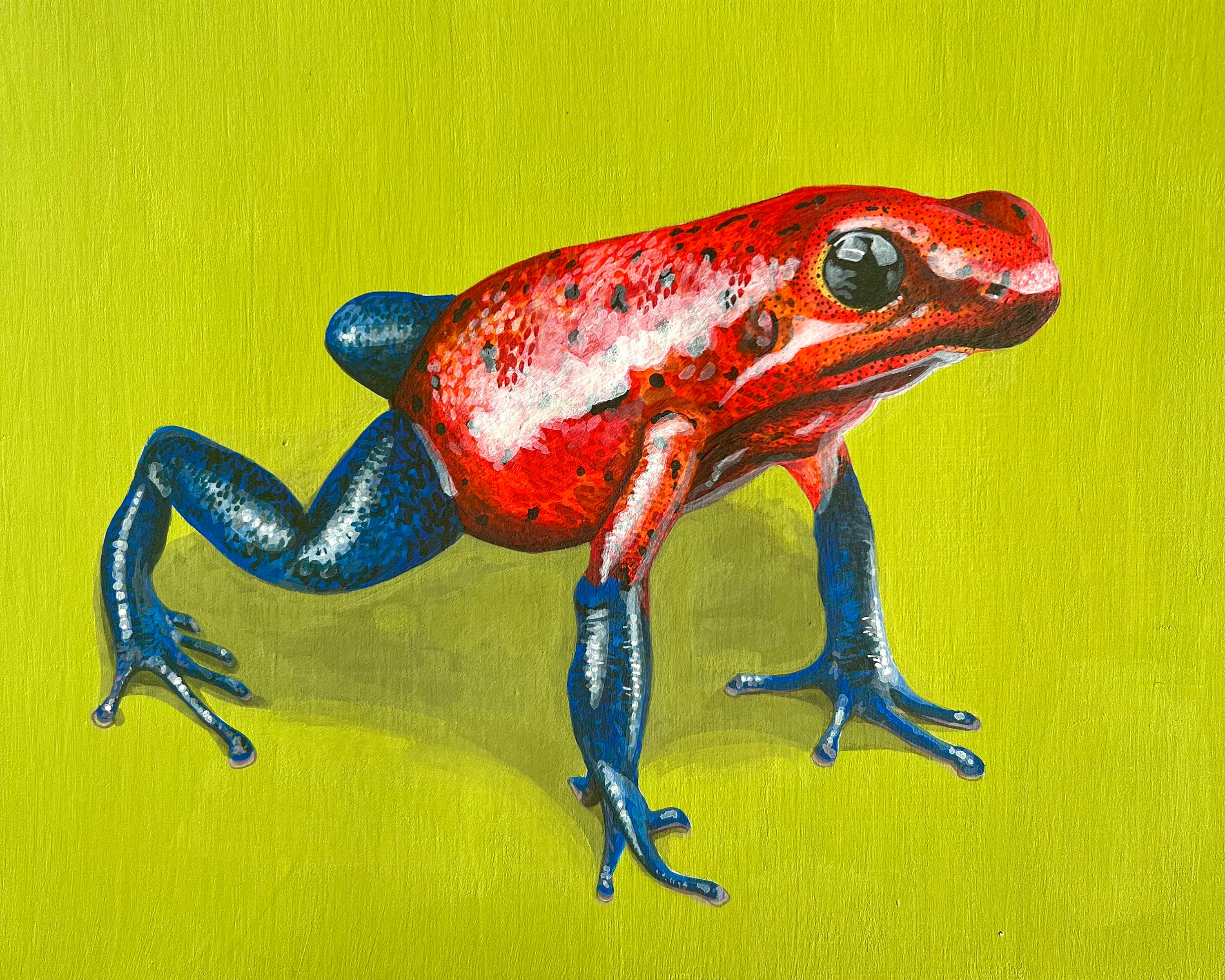 Poison Dart Frog - Original Painting 7x10 Inches - Reptile Animal