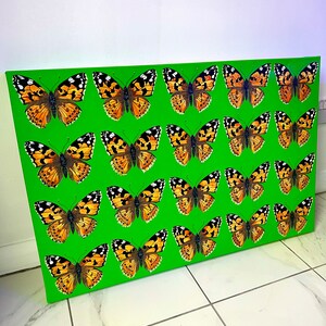 Butterflies - 20 painted lady butterflies on large green canvas - insect bug moth art