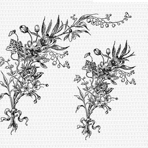 2 Digital Floral Corner Borders Antique Vintage Clip Art High Quality Printable Graphics 2003