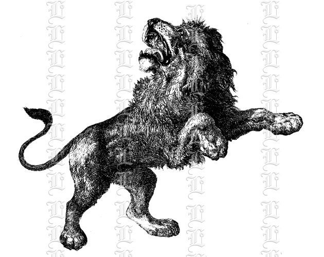 Lion Roars Image Digital Lion Illustrations Printable Lion | Etsy