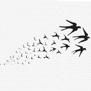 Kudde vliegen vogels silhouet hoge kwaliteit Vintage grafische Instant Download 2414
